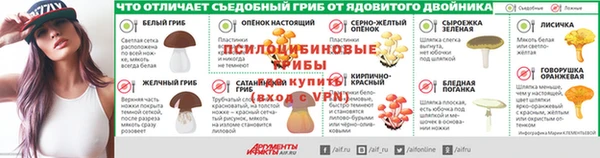 PSILOCYBIN Алзамай