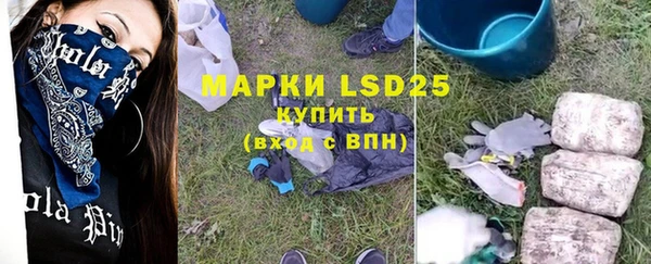 PSILOCYBIN Алзамай