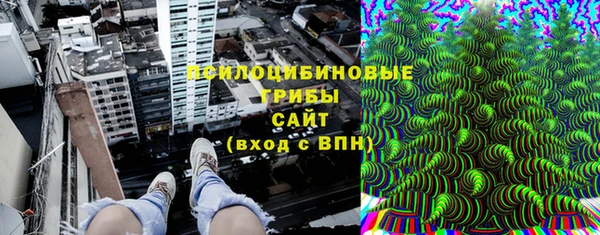 PSILOCYBIN Алзамай