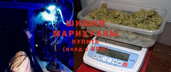 PSILOCYBIN Алзамай