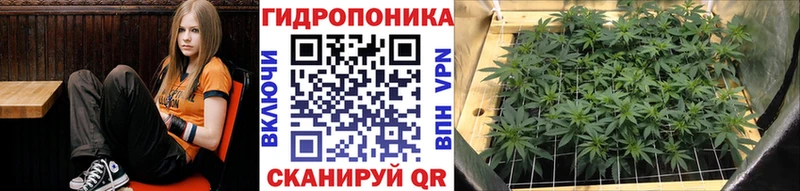 omg ССЫЛКА  Нововоронеж  Бошки Шишки VHQ 